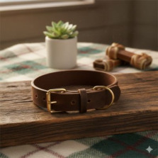 Dog Collar